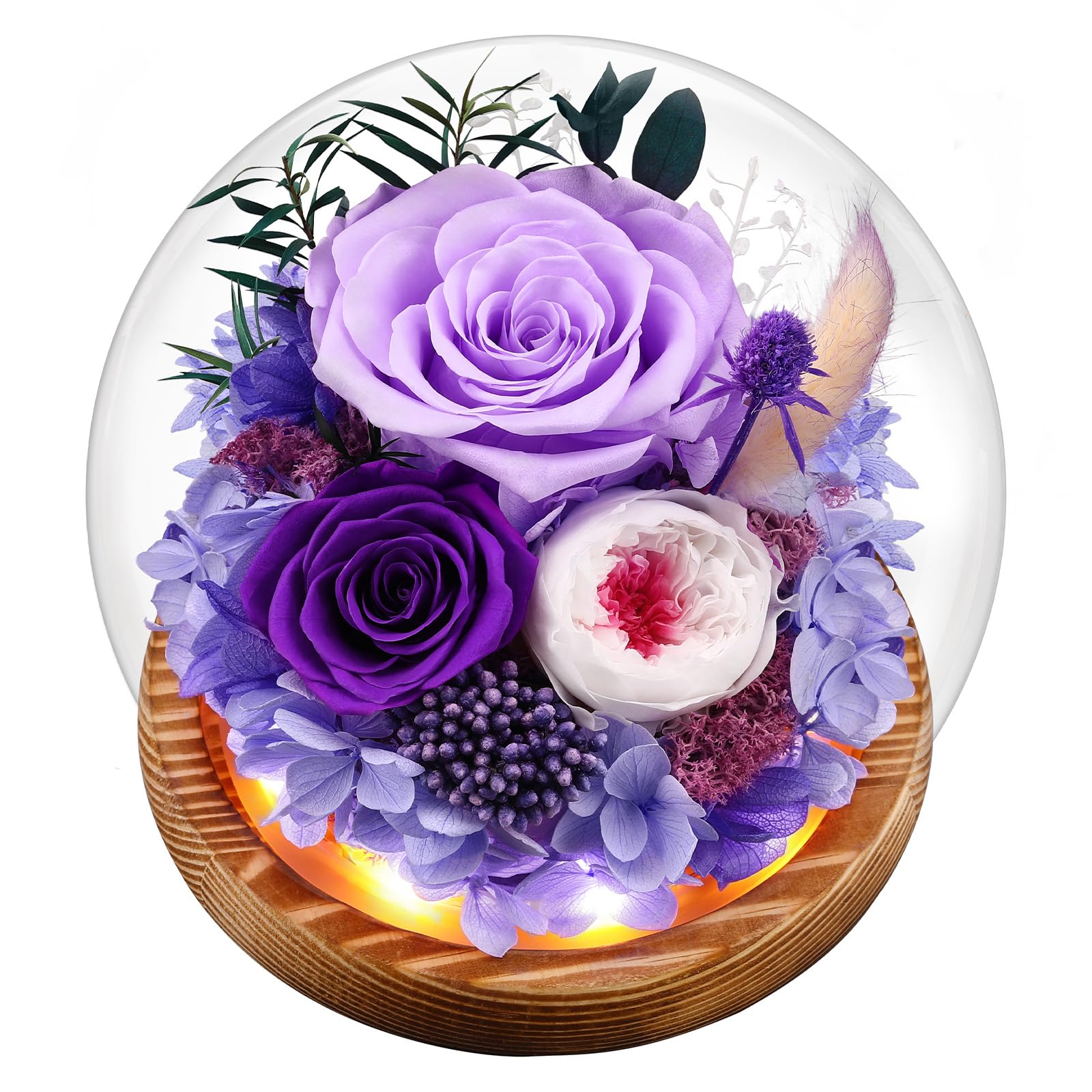 Preserved Real Flowers Gifts for Her,Women,Wife,Mom, Forever Fresh Roses in Glass Dome with LED Lights Purple