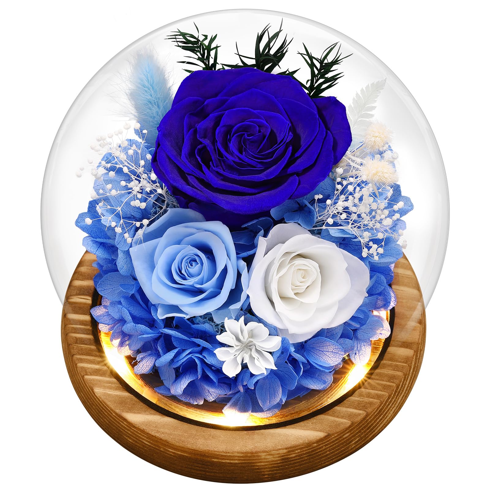 Preserved Real Flowers Gifts for Her,Women,Wife,Mom, Forever Fresh Roses in Glass Dome with LED Lights for Home Decor for Delivery Prime Valentines Day,Mothers Day,Christmas,Wedding, Blue