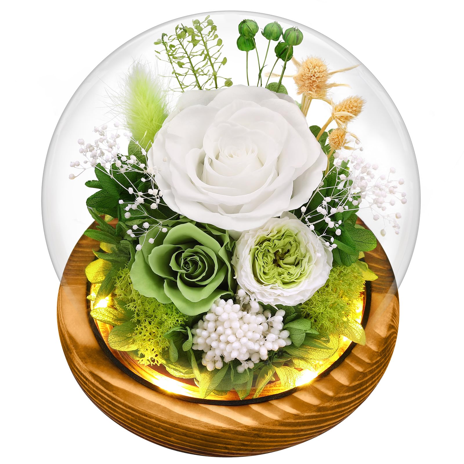 Preserved Real Flowers Gifts for Her,Women,Wife,Mom, Forever Fresh Roses in Glass Dome with LED Lights for Home Decor for Delivery Prime Valentines Day,Mothers Day,Christmas,Wedding, Green