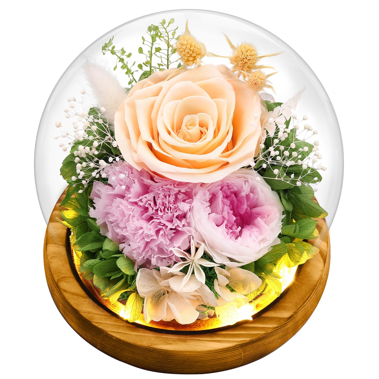 Preserved Real Flowers Gifts for Her,Women,Wife,Mom, Forever Fresh Roses in Glass Dome with LED Lights for Home Decor for Delivery Prime Valentines Day,Mothers Day,Christmas,Wedding,Champagne