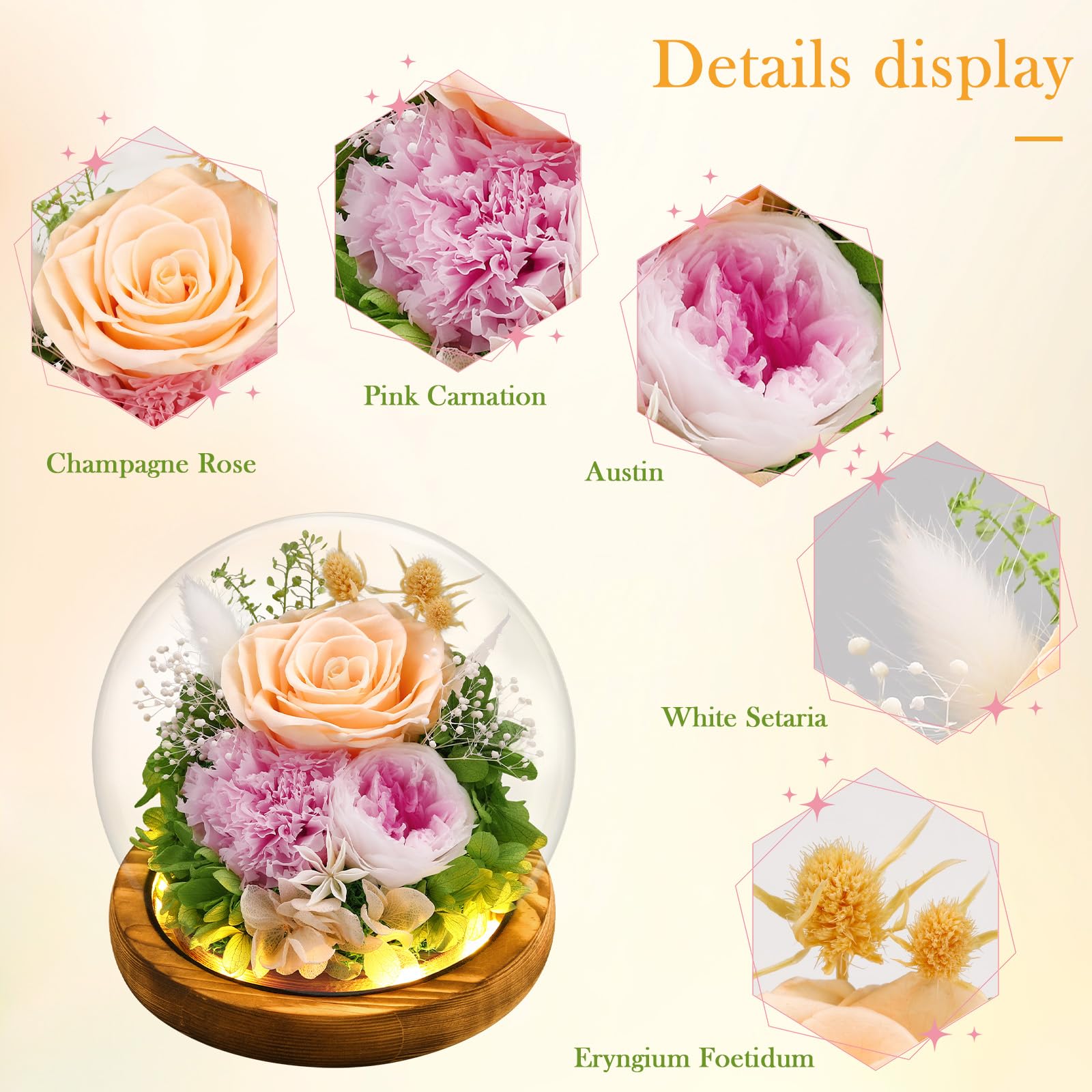 Preserved Real Flowers Gifts for Her,Women,Wife,Mom, Forever Fresh Roses in Glass Dome with LED Lights for Home Decor for Delivery Prime Valentines Day,Mothers Day,Christmas,Wedding,Champagne