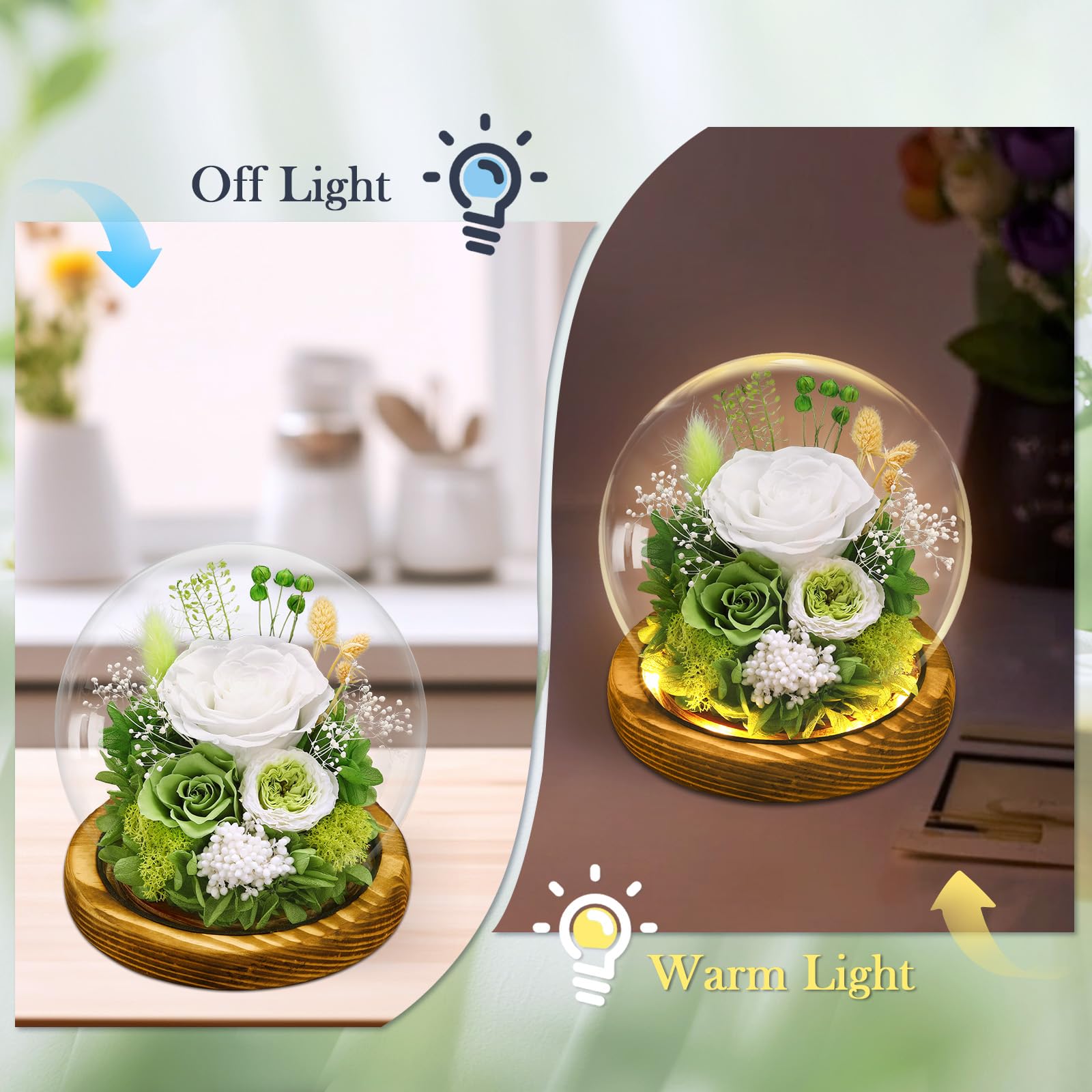 Preserved Real Flowers Gifts for Her,Women,Wife,Mom, Forever Fresh Roses in Glass Dome with LED Lights for Home Decor for Delivery Prime Valentines Day,Mothers Day,Christmas,Wedding, Green