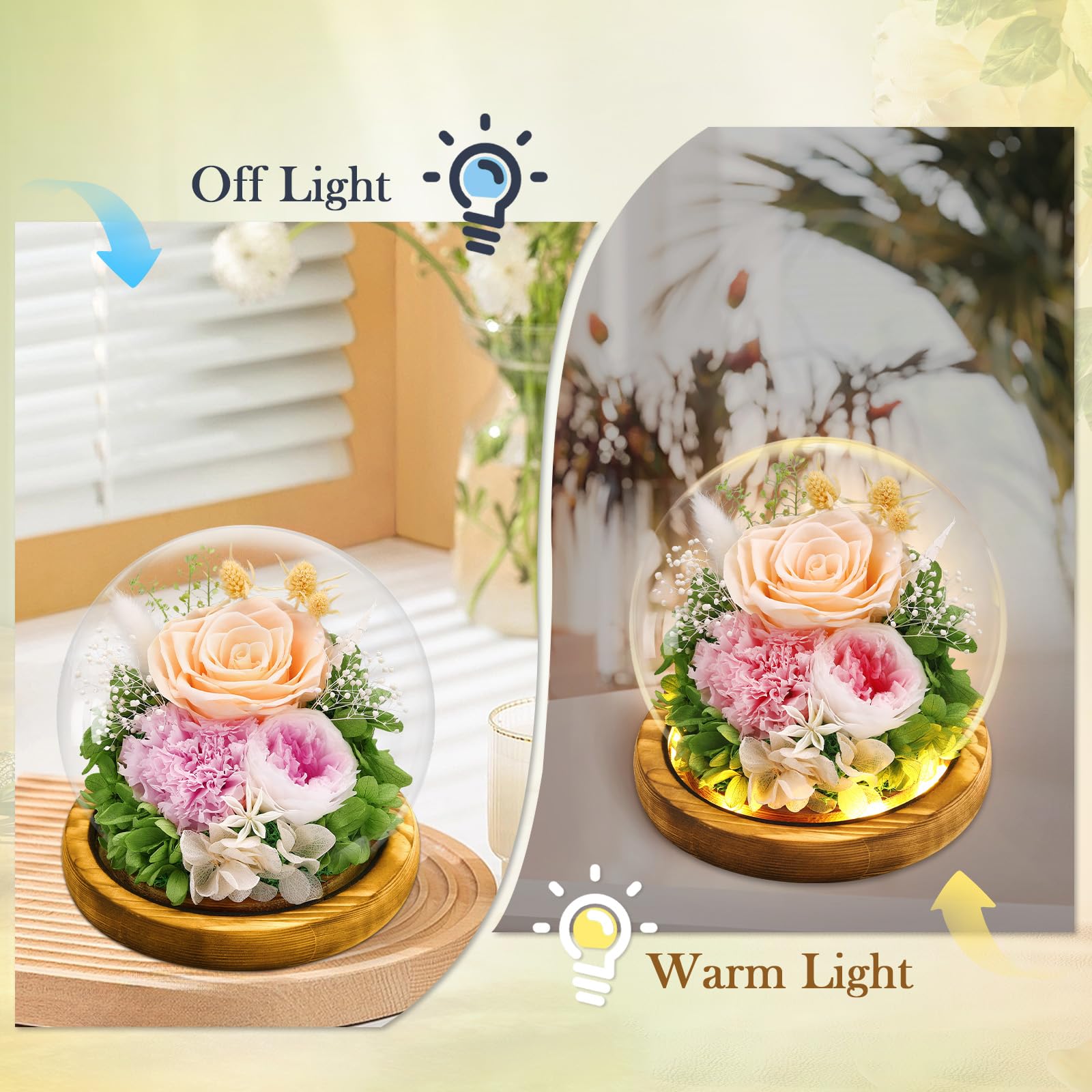 Preserved Real Flowers Gifts for Her,Women,Wife,Mom, Forever Fresh Roses in Glass Dome with LED Lights for Home Decor for Delivery Prime Valentines Day,Mothers Day,Christmas,Wedding,Champagne