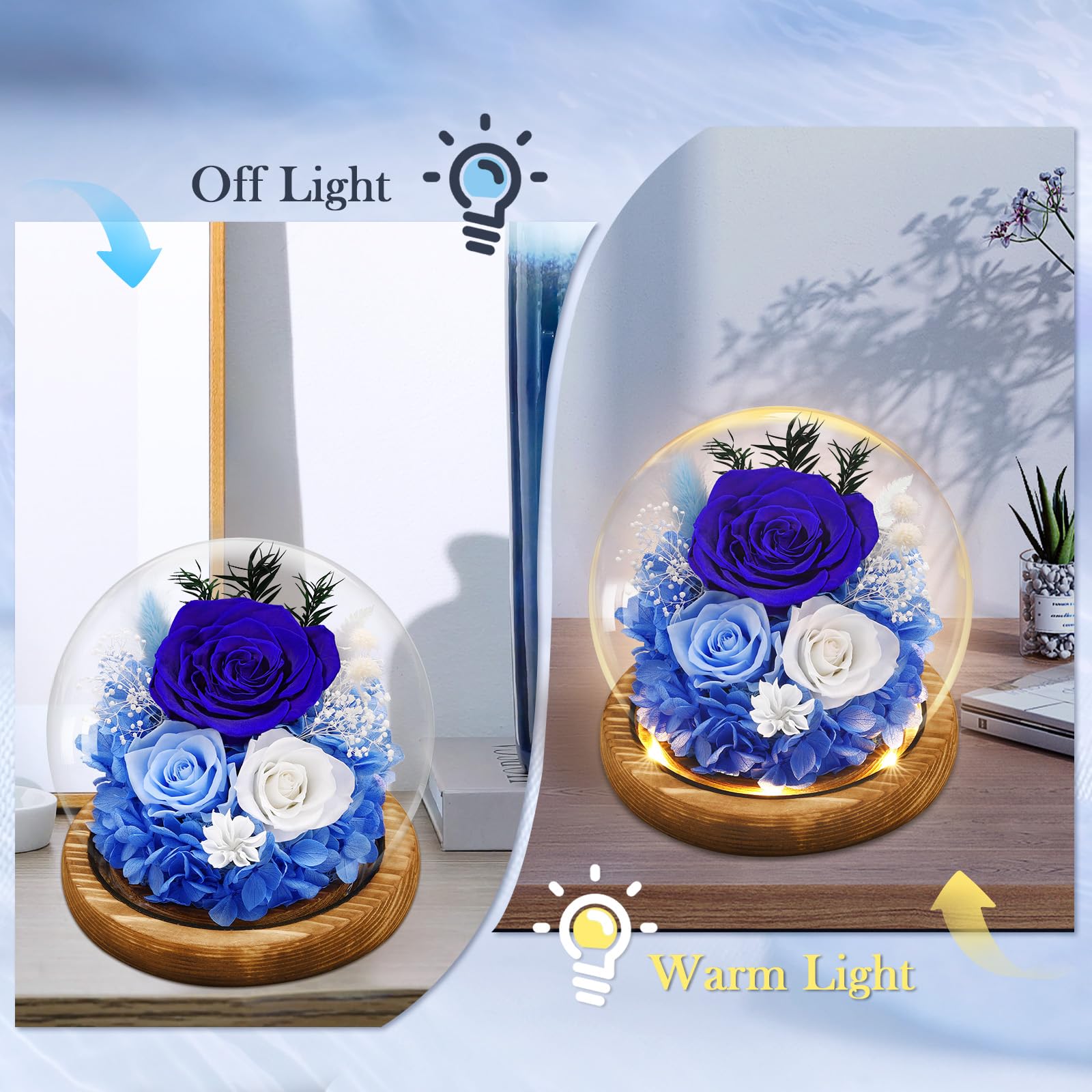 Preserved Real Flowers Gifts for Her,Women,Wife,Mom, Forever Fresh Roses in Glass Dome with LED Lights for Home Decor for Delivery Prime Valentines Day,Mothers Day,Christmas,Wedding, Blue